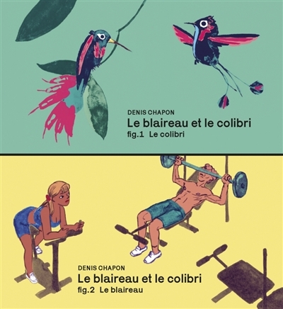 Blaireau et le colibri (Le) | Chapon, Denis