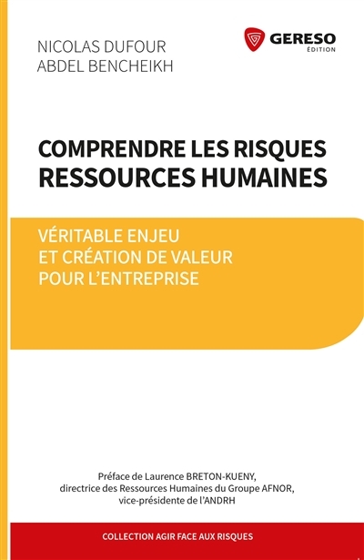 Comprendre les risques ressources humaines | Dufour, Nicolas