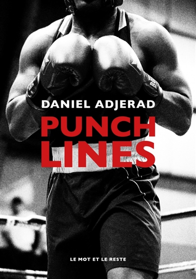 Punchlines : la richesse d'une énonciation | Adjerad, Daniel