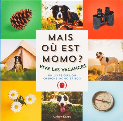 Mais où est Momo ? : vive les vacances : un livre où l'on cherche Momo et Boo | Knapp, Andrew