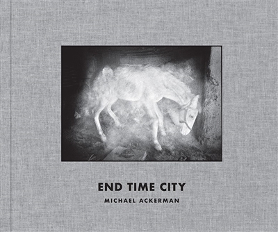 End time city | Ackerman, Michael