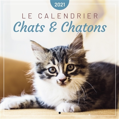Chats & chatons 2021 | 