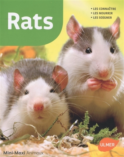 Rats | Gassner, Georg