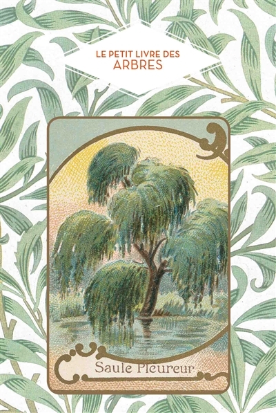 petit livre des arbres (Le) | Pen Du, Dominique