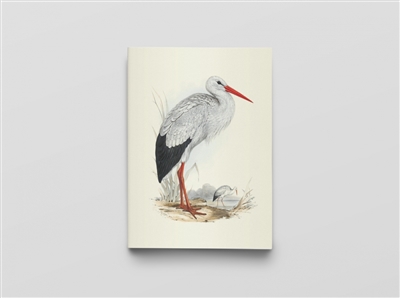 Oiseaux d'Europe | Gould, Elizabeth