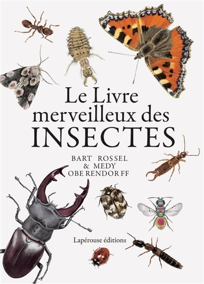 livre merveilleux des insectes (Le) | Rossel, Bart