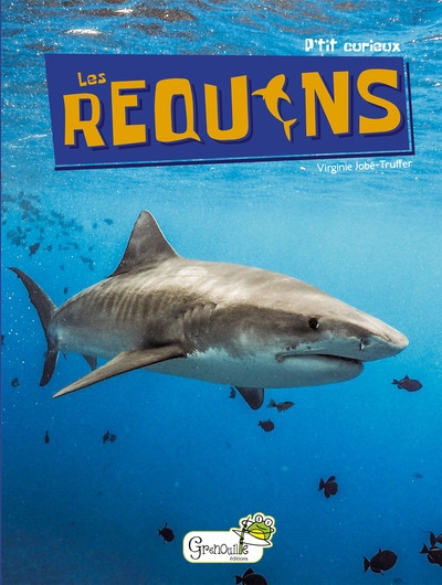 P'tit curieux - Les requins  | Jobé-Truffer, Virginie (Auteur)