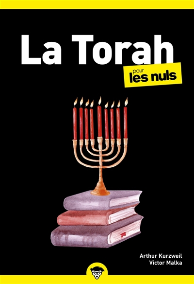 Torah pour les nuls (La) | Kurzweil, Allen