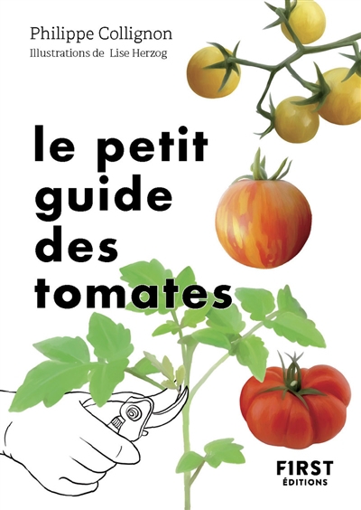 petit guide des tomates (Le) | Collignon, Philippe (Auteur) | Herzog, Lise (Illustrateur)