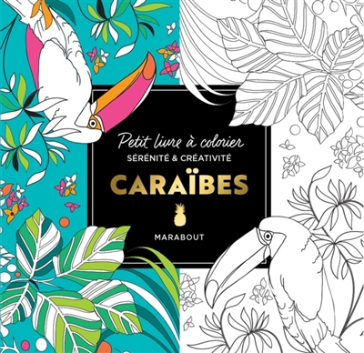 Caraïbes : petit livre à colorier : sérénité & créativité | 