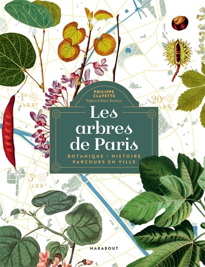 Arbres de Paris (Les) | Clayette, Philippe