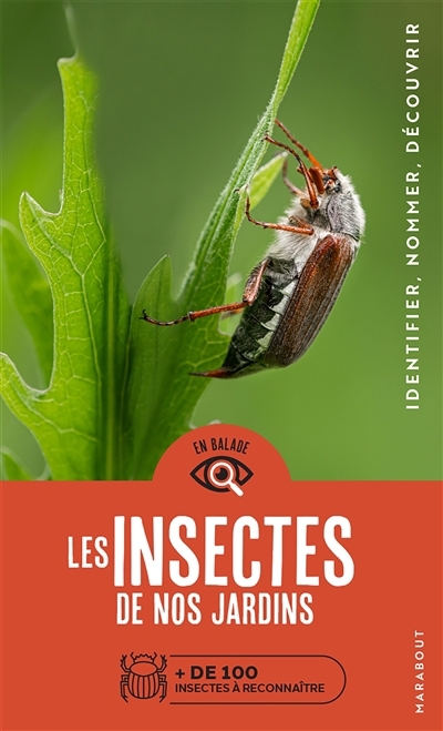 Insectes de nos jardins (Les) | Gerstmeier, Laurent