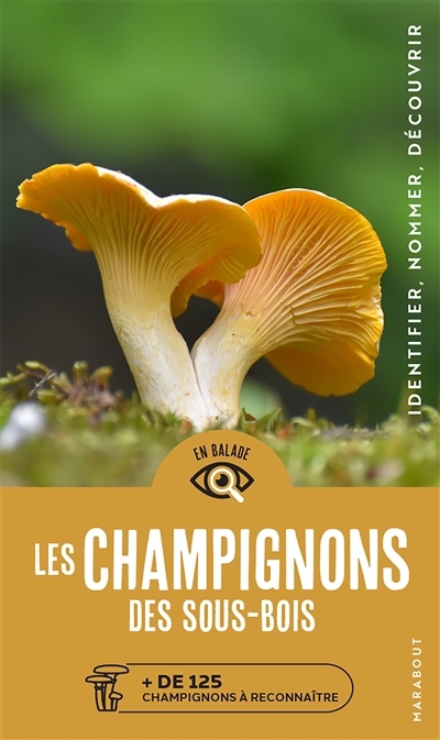 Champignons des sous-bois (Les) | Flück, Markus