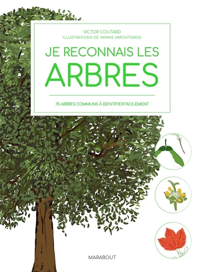 Je reconnais les arbres : 75 arbres communs à identifier facilement | Coutard, Victor (Auteur) | Varoutsikos, Yannis (Illustrateur)