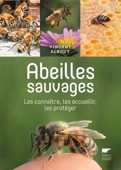 Abeilles sauvages | Albouy, Vincent
