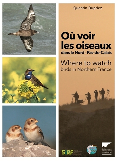 Où voir les oiseaux dans le Nord-Pas-de-Calais | Dupriez, Quentin