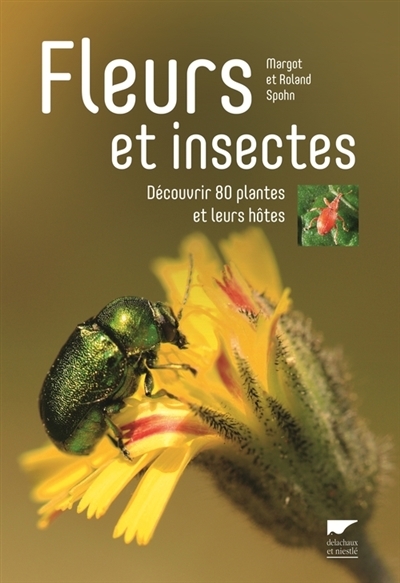 Fleurs et insectes | Spohn, Margot