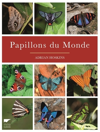 Papillons du monde | Hoskins, Adrian