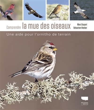 Comprendre la mue des oiseaux | Duquet, Marc