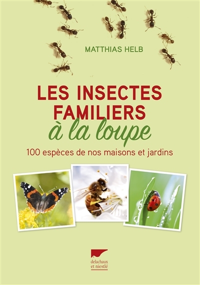 insectes familiers à la loupe (Les) | Helb, Matthias