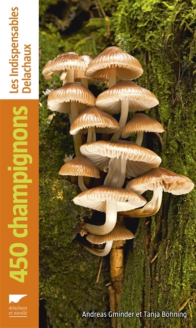 450 champignons | Gminder, Andreas