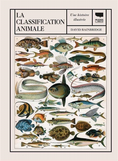 classification animale (La) | Bainbridge, David