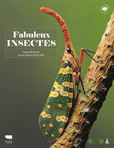 Fabuleux insectes | Richard, Denis