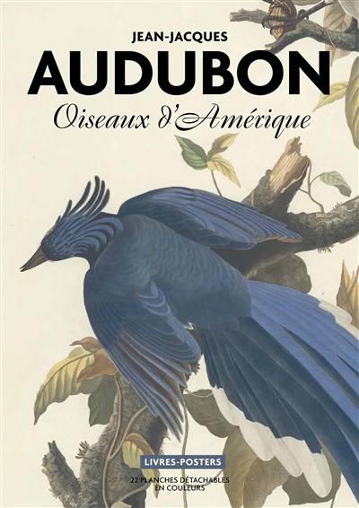 Oiseaux d'Amérique | Audubon, John James