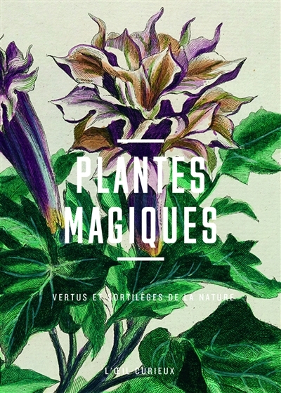Plantes magiques : vertus et sortilèges de la nature | Menapace, Luc (Auteur)