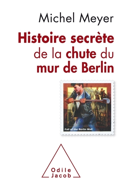 Histoire secrète de la chute du mur de Berlin | Meyer, Michel