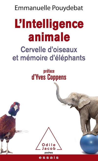 L'intelligence animale : cervelle d'oiseaux et mémoire d'éléphants | Pouydebat, Emmanuelle