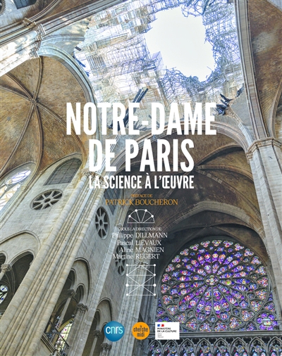 Notre-Dame de Paris, la science à l'oeuvre | Dillmann, Philippe