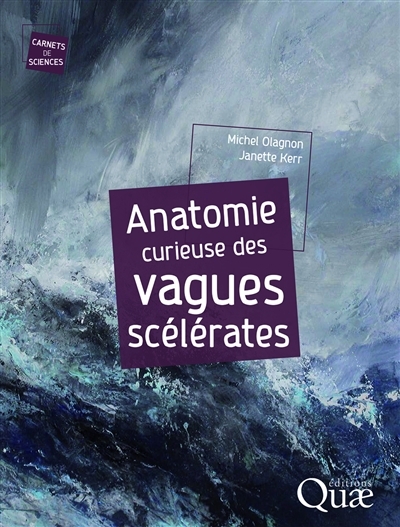 Anatomie curieuse des vagues scélérates | Olagnon, Michel