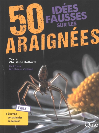50 idées fausses sur les araignées | Rollard, Christine