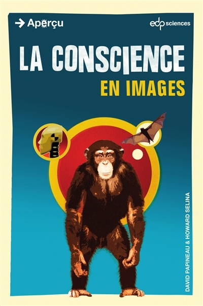 conscience en images (La) | Papineau, David