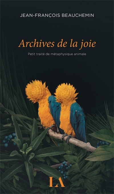 Archives de la joie  | Beauchemin, Jean-François