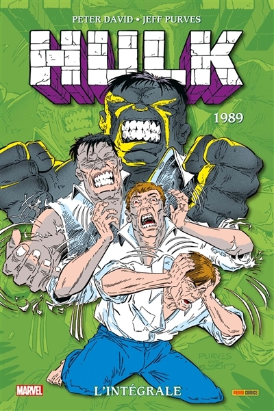 Hulk : L'intégrale 1989 | David, Peter