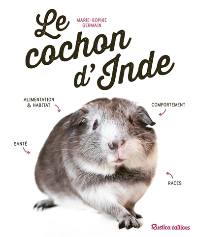 cochon d'Inde (Le) | Germain, Marie-Sophie