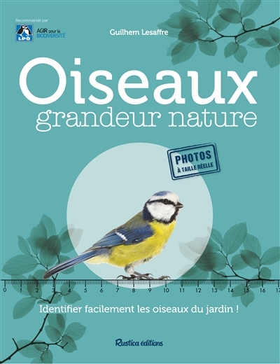 Oiseaux grandeur nature | Lesaffre, Guilhem