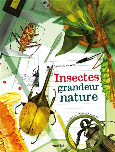Insectes : grandeur nature | Fogato, Valter
