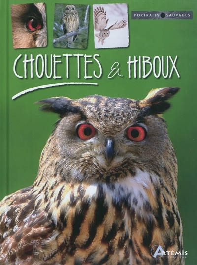 Chouettes & hiboux | Cuisin, Michel