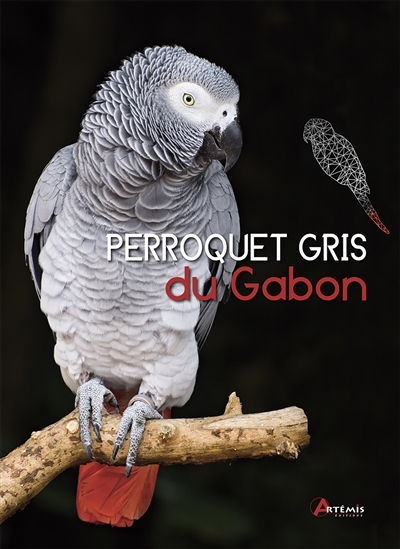 Perroquet gris du Gabon | Glendell, Greg