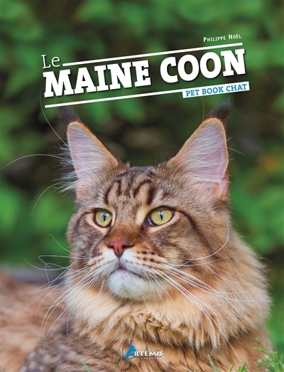 maine coon (Le) | Noël, Philippe