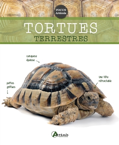 tortues terrestres (Les) | Keller, Gerti