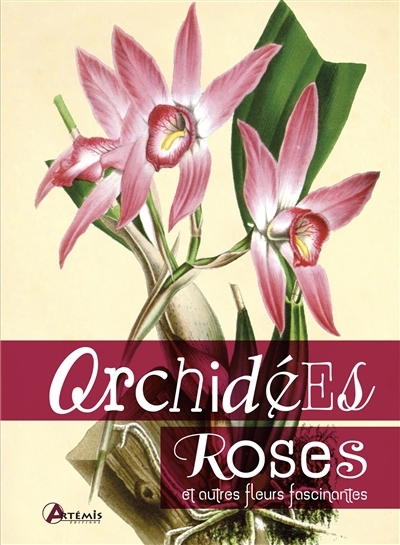 Orchidées, roses | Persico Lamas, Lucrecia