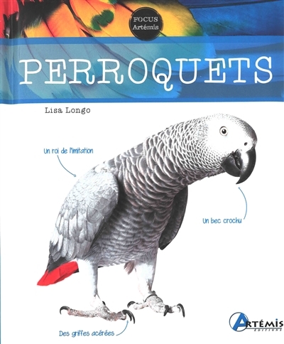 Perroquets | Longo, Lisa