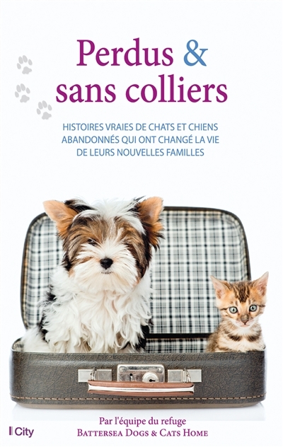 Perdus & sans colliers | Battersea dogs & cats home