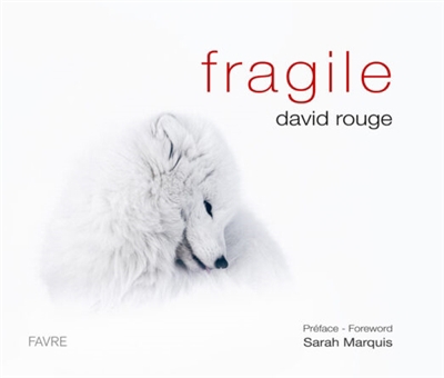 Fragile | 