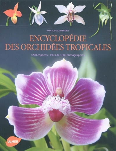 Encyclopédie des orchidées tropicales : 1.200 espèces, plus de 1.000 photographies | Descouvrières, Pascal