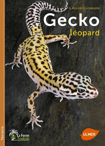 Gecko léopard | Keller, Gerti